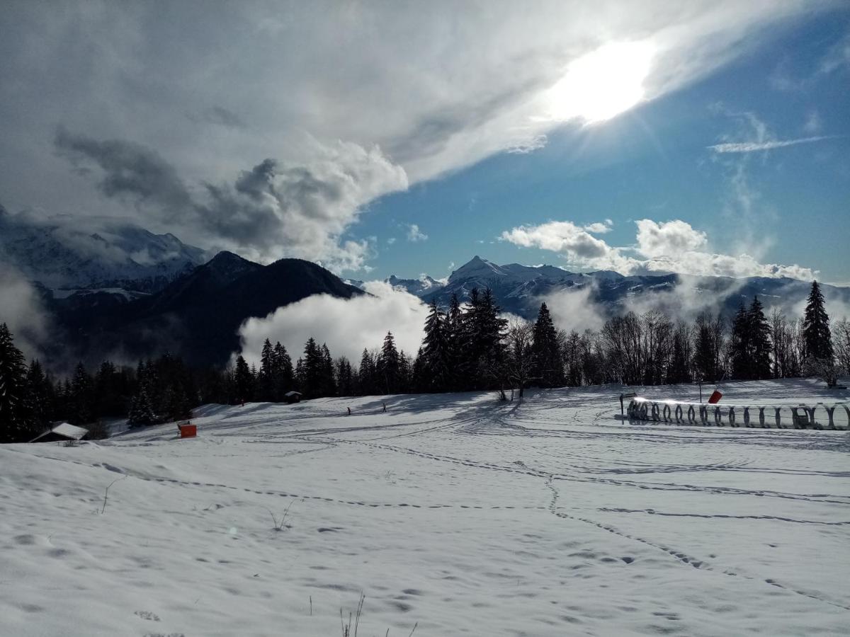 Mont Etape , F2, 42 M2, Calme, Vue Mt Blanc Passy (Haute-Savoie) Exterior foto