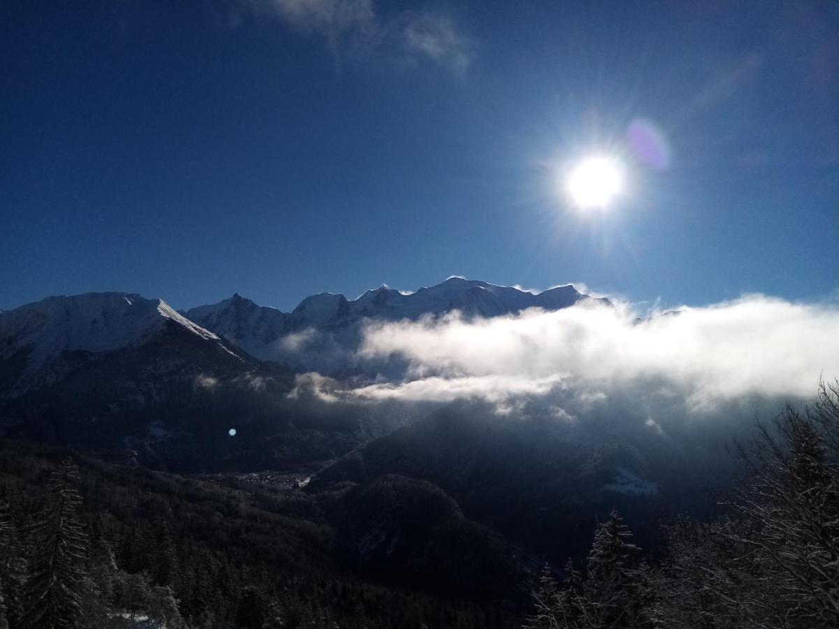 Mont Etape , F2, 42 M2, Calme, Vue Mt Blanc Passy (Haute-Savoie) Exterior foto