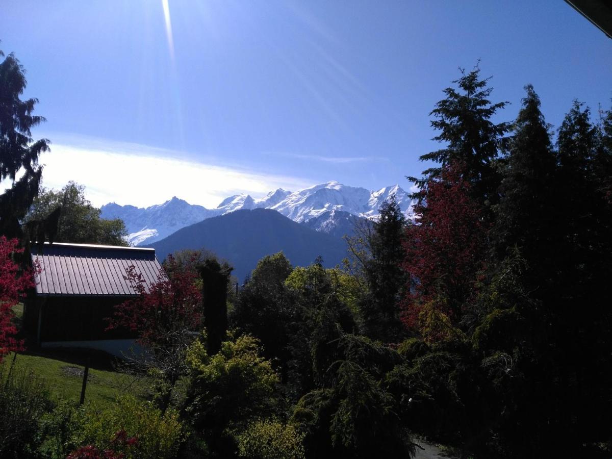 Mont Etape , F2, 42 M2, Calme, Vue Mt Blanc Passy (Haute-Savoie) Quarto foto